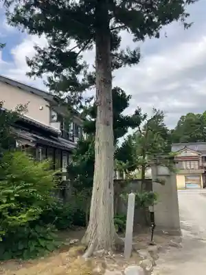 善巧寺(富山県)