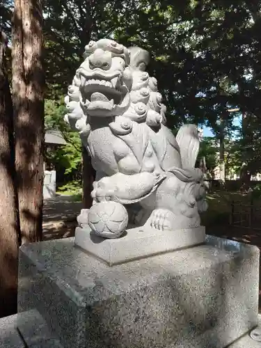 新琴似神社の狛犬