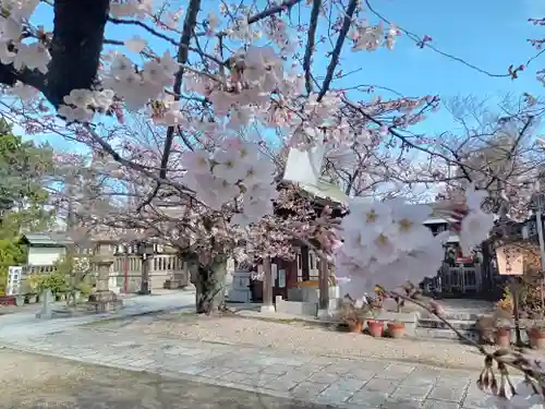 阿部野神社の自然