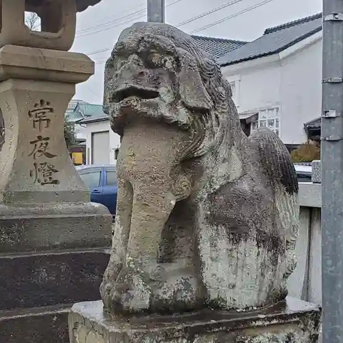 住吉神社の狛犬