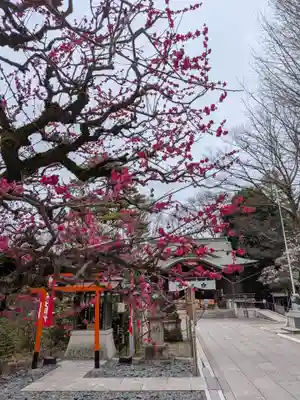布多天神社(東京都)