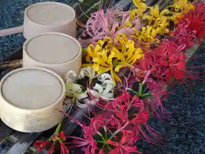 横浜 西方寺の手水舎