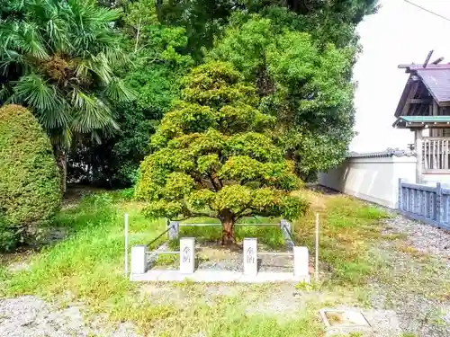 神明社（中和会神明社）の自然