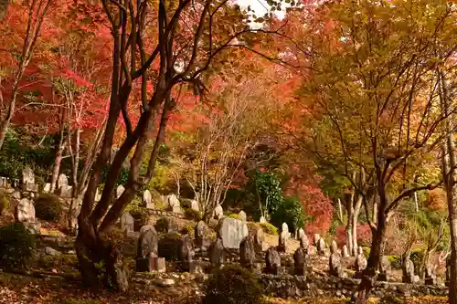 金剛寺(高知県)
