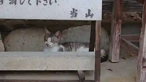 妙雲寺(岐阜県)