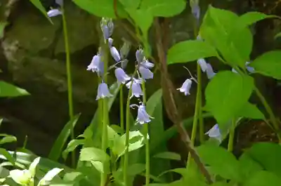 青龍山 吉祥寺(群馬県)