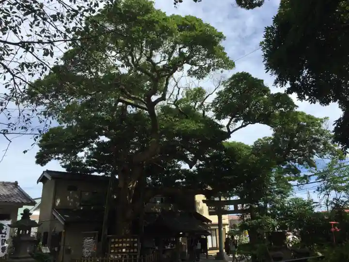 御霊神社(神奈川県)