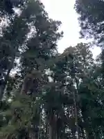 大宮温泉神社(栃木県)