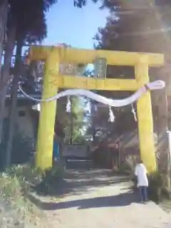 下野 星宮神社の鳥居