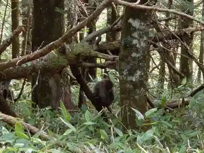 穂高神社奥宮(長野県)