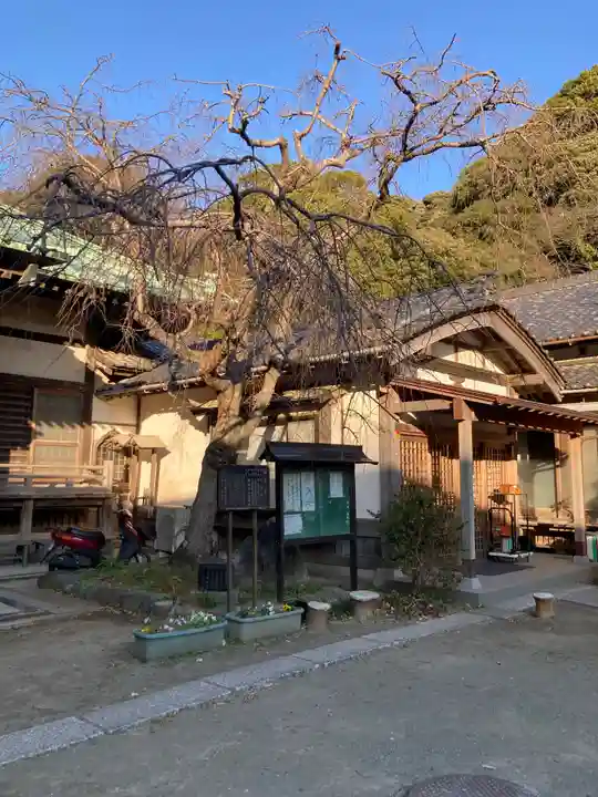 法勝寺(神奈川県)