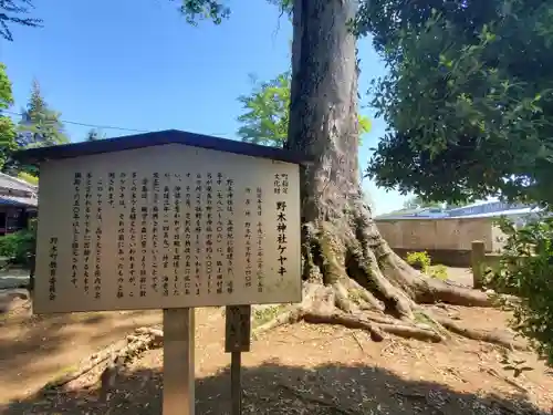 野木神社の歴史