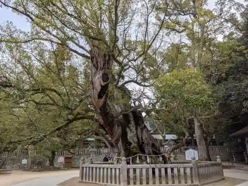 大山祇神社(愛媛県)
