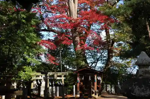 日吉神社の末社