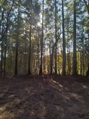 小針薬師如来堂(宮城県)