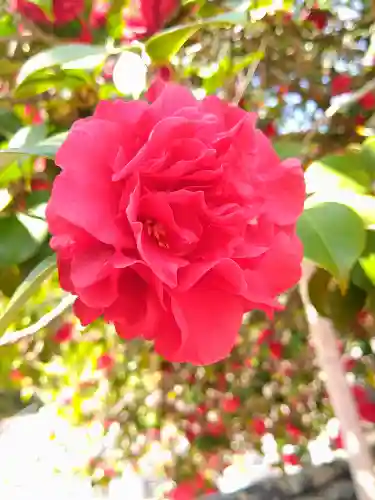 圀勝寺(岡山県)