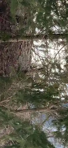 留辺蘂神社の動物