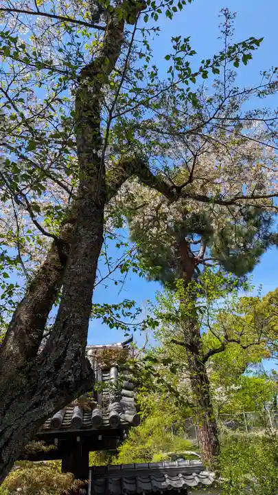 惠心院(京都府)