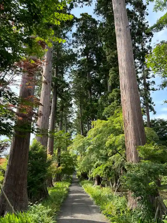 八幡宮(茨城県)