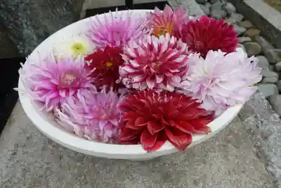 岡寺(龍蓋寺)(奈良県)