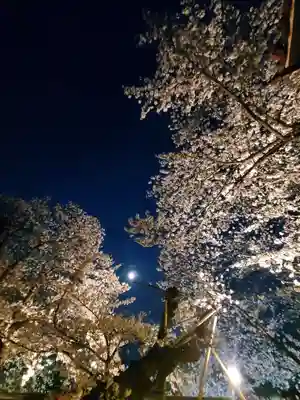 如宝寺(福島県)