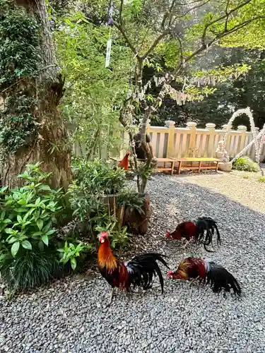 大甕神社(茨城県)