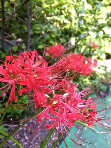 鷺宮八幡神社(東京都)