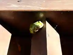 菱野健功神社の動物