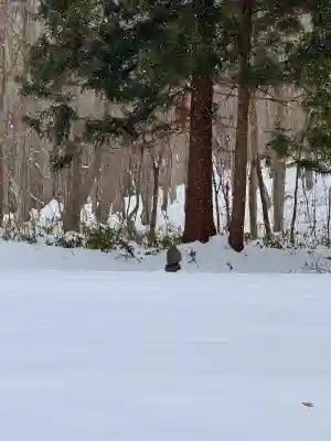 大岩稲荷神社の{uncategorized: "未分類", other: "その他", undefined: "問題あり", building: "その他建物", grave: "お墓", sacred_gate: "鳥居", guardian: "狛犬", statue: "像", buddha: "仏像", history: "歴史", nature: "自然", garden: "庭園", animal: "動物", pagoda: "塔", temizu: "手水舎", mountain_gate: "山門・神門", sanctuary: "本殿・本堂", subordinate: "末社・摂社", art: "芸術", scenery: "景色", jizo: "地蔵", ema: "絵馬", goshuin: "御朱印", omikuji: "おみくじ", items: "授与品その他", amulet: "お守り", goshuincho: "御朱印帳", eats: "食事", festival: "お祭り", votive_dance: "神楽", shichigosan: "七五三参", wedding: "結婚式", experience: "体験その他", initially: "初詣", around: "周辺", anti_infection: "感染症対策"}