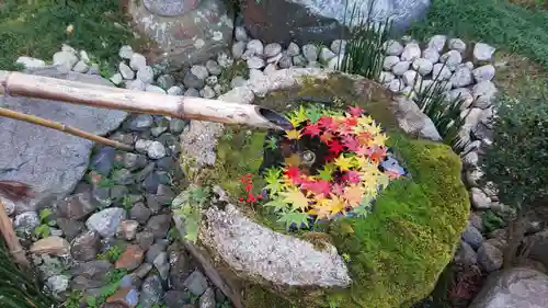 柳谷観音　楊谷寺の手水舎