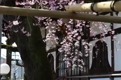 善龍寺(東京都)