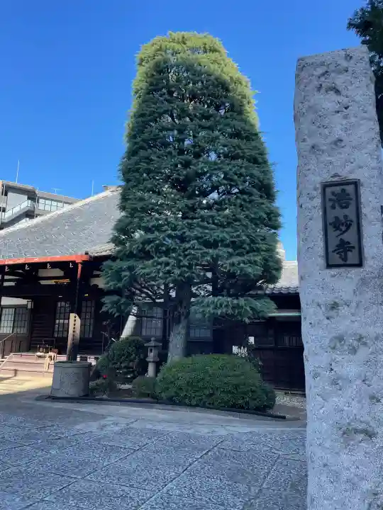 浩妙寺の{uncategorized: "未分類", other: "その他", undefined: "問題あり", building: "その他建物", grave: "お墓", sacred_gate: "鳥居", guardian: "狛犬", statue: "像", buddha: "仏像", history: "歴史", nature: "自然", garden: "庭園", animal: "動物", pagoda: "塔", temizu: "手水舎", mountain_gate: "山門・神門", sanctuary: "本殿・本堂", subordinate: "末社・摂社", art: "芸術", scenery: "景色", jizo: "地蔵", ema: "絵馬", goshuin: "御朱印", omikuji: "おみくじ", items: "授与品その他", amulet: "お守り", goshuincho: "御朱印帳", eats: "食事", festival: "お祭り", votive_dance: "神楽", shichigosan: "七五三参", wedding: "結婚式", experience: "体験その他", initially: "初詣", around: "周辺", anti_infection: "感染症対策"}