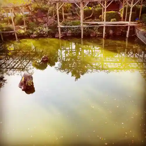 亀戸天神社の庭園