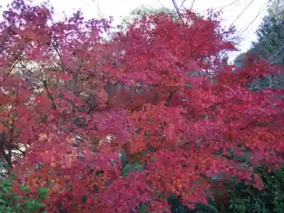 瑞松庵(山口県)
