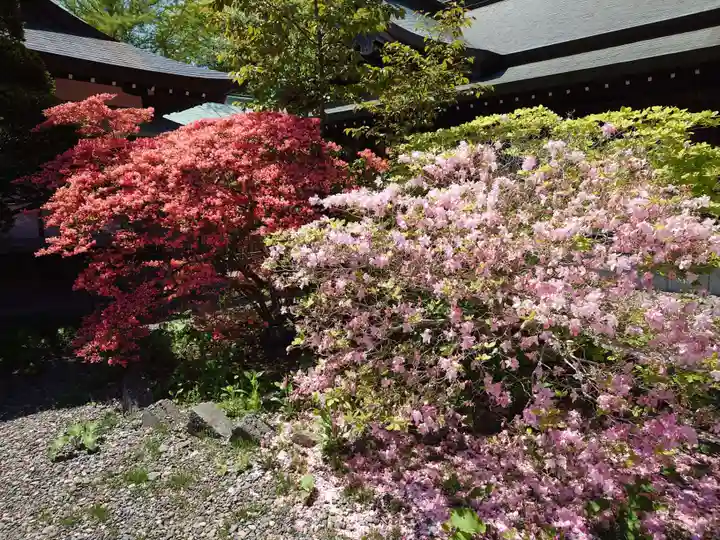 室蘭八幡宮(北海道)