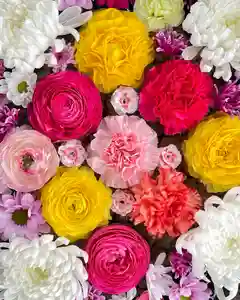 伊達神社(北海道)(2022年05月14日(土) 08時13分15秒投稿)