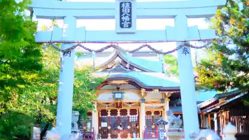 植田八幡宮の鳥居