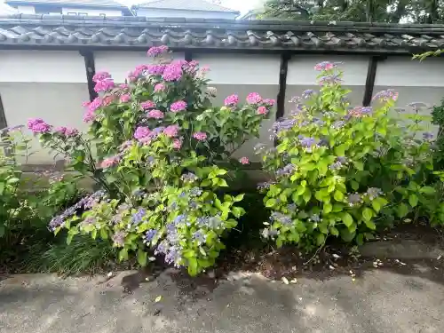 性海寺(愛知県)