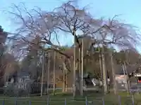 足羽神社(福井県)