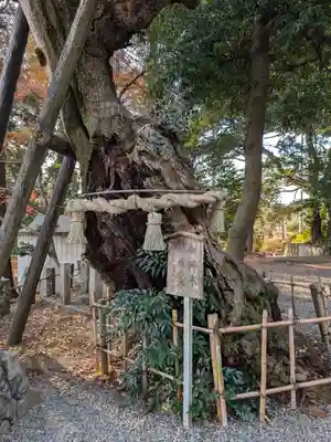 川尻八幡宮(神奈川県)