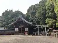 八幡社(柏井町)の本殿・本堂