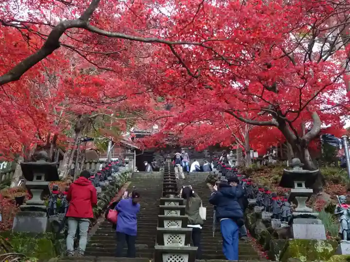 大山寺の自然