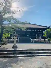 當麻寺の本殿