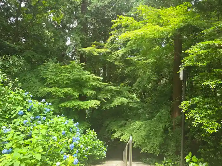 金剛輪寺(滋賀県)