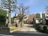 薬師寺 南蔵院 (東京都)