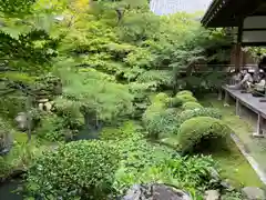 禅林寺（永観堂）(京都府)