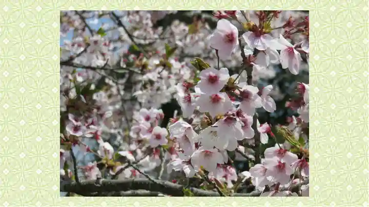 宮城縣護國神社(宮城県)
