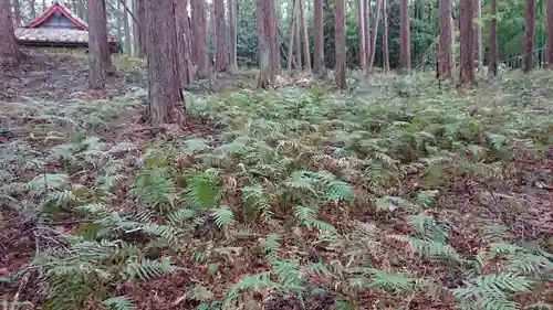 玉木平神社の自然