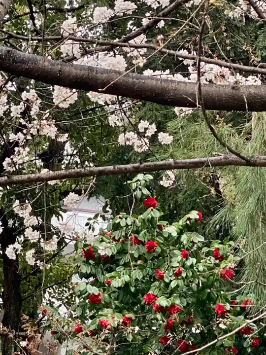御香宮神社(京都府)