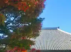 普元寺の建物その他